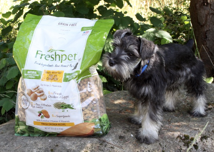 Freshpet and Bailey