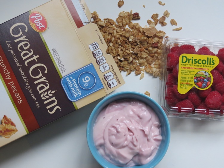 Breakfast Yogurt Pops ingredients