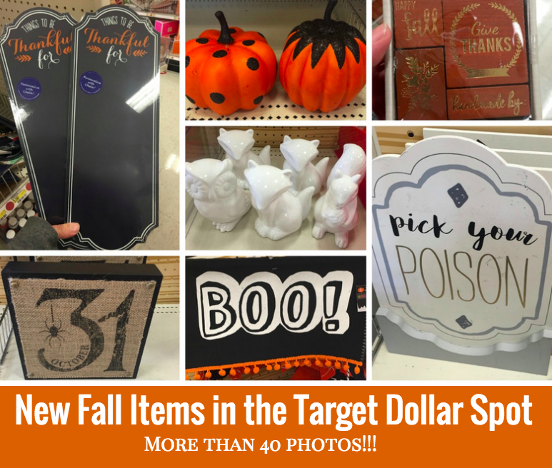 New Fall Items in Target Dollar Spot