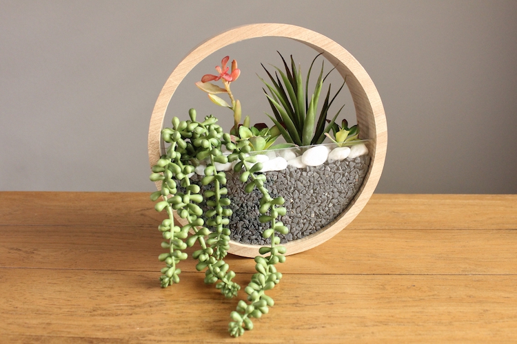 DIY Round Hanging Succulent Planter