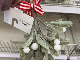 target D S NEW berry