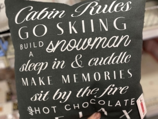 target ds pillow skiing