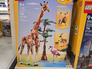20260630_142156